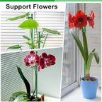 30Pcs Plant Support Stakes 17 inch SupKing Garden Orchid Sticks Extended to 3ft - Image 6