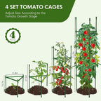 4PCS Tomato Cages for Garden, Tomato Trellis for Raised Garden Bed, 51.2" Tall - Image 2