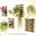 ShopLaLa Wall Planters - Image 7