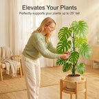 30-Pack Monstera Plant Support Stakes - Image 3