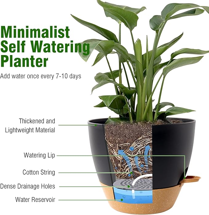 10 inch Self Watering Pots, 2 Pack Plastic Planters - Image 5