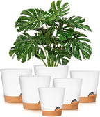 GARDIFE Plant Pots 8/7/6.5/6/5.5/5 Inch Self Watering Planters by GARDIFE