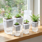 2.5 Inch Mini Self Watering Pots - Image 8