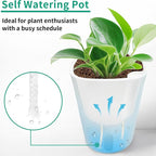 TCBWFY 4 Inch Self Watering Pots - Image 4