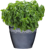 Classic Home and Garden Corinthian Resin Flower Pot Planter, Storm Blue - Image 3