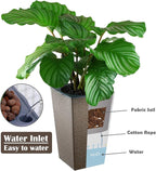 2 Pack Self Watering Planters 10.7" x 6.9" Planter - Image 4