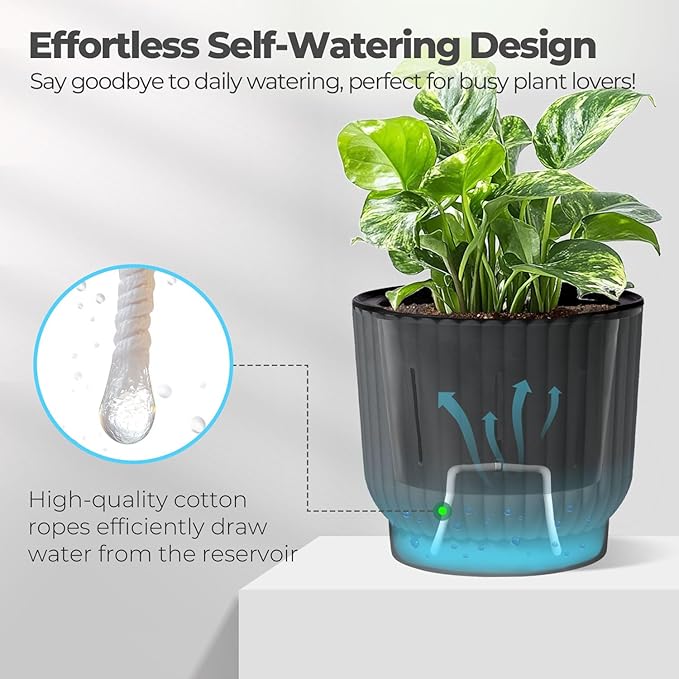 T4U 6 Inch Self Watering Pots for Indoor Plants, 6 Pack Plant Pots, Self - Image 3