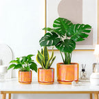 EFISPSS Ceramic Plant Pots, 4+5+6 Inch Ceramic Indoor Pots - Image 5