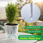 Self Watering Planters - Image 6