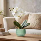 G EPGardening Ceramic Plant Pot - Image 5