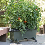 EarthBox 80151 Garden Kit - Image 10