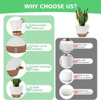 12" 10" 9" 8" Self Watering Pots - Image 3