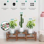 3 Tier Plant Stand Indoor, Wooden Low Plant Bench - Image 6