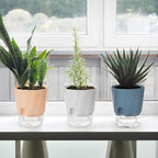 KIMCHOMERSE Self Watering Plant Pots, 6 Inch Plant Pots 6-Pack Indoor Planter - Image 8