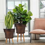 Plant Planters Pots Set of 4 Pack 11 Inch, Plastic Flower Pot - Image 2
