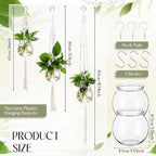 12 Pcs Plastic Plant Propagation - Image 2