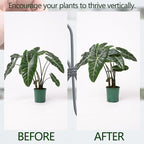 Monstera Plant Support Hook - Image 3