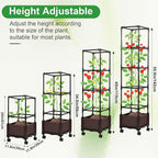 Lezmarket Self Watering Tomato Planter - Image 3