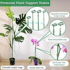 Extendable Plant Stakes, Length Scalable from 17.9IN to 42.3IN Plant Support - Image 3
