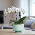 G EPGardening Ceramic Plant Pots - Image 5