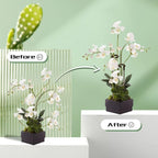Invisible Orchid Sticks 17 inch &11 inch SupKing 16Pcs Plant Stakes - Image 7