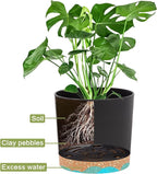 QCQHDU 5 inch Plant Pot, 2 Pack Planters - Image 4