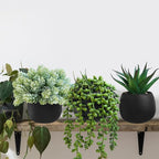 Winlyn Set of 3 Artificial Succulent Plants in Black Concrete Pots Faux Aloe - Image 4