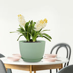 12 inch Big Plant Pots, Plastic Planters - Image 7