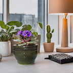 African Violet Pots Self Watering Round Ceramic Violet Pot - Image 5