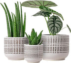 Docrin 3-Pack Ceramic Planters Set by DOCRIN