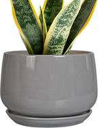 G EPGardening Modern Ceramic Planter by GEPGardening