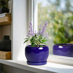 SQOWL Ceramic Planters for Indoor Plants - Image 2