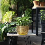 SQOWL Ceramic Flower Pot - Image 5