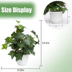 alyptus Fake English Ivy Plants in Pots Set of 2 – Realistic Artificial Ivy - Image 2