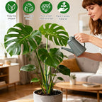 5pack Adjustable Plant Support Pole – Stackable Indoor/Outdoor Support Pole - Image 5