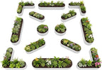 A ANLEOLIFE Set of 14, 18 Inch Tall Raised Garden Beds Kit, Heart-Shaped by AAnleolife