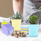 OJYUDD 24 Pack Multi Color Plastic Plant Pot, Colorful Plastic Square Pots - Image 6
