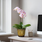 Ceramic Plant Pots - Image 3
