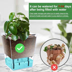 Self Watering Pots Set, 3 Pack 5/4.1/2.7 Inch Self Watering Pot - Image 5