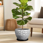 Ceramic Plant Pot 8 Inch - Image 5