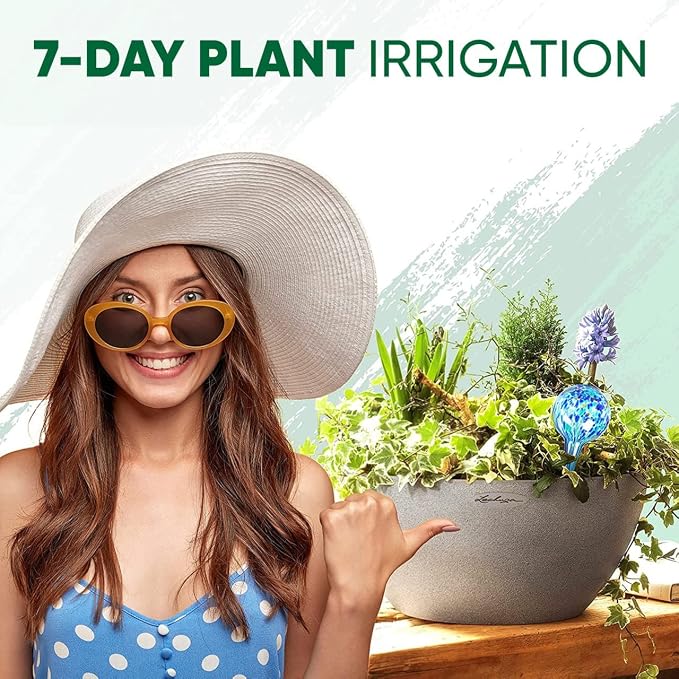 Plant Watering Globes Set of 2 - Image 6
