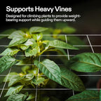 VIVOSUN 5 x 30 ft. Plant Trellis Netting, Heavy-Duty Polyester Grow Net - Image 2