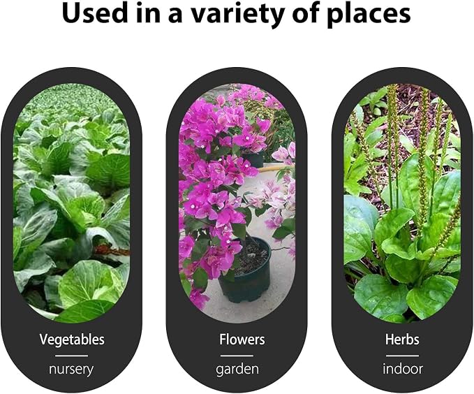 Pink Plant labels - Image 6