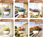 Hanging Planter, 12 Inch Self-Watering Hanging Planters - Image 6