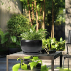 SQOWL Ceramic Flower Pot - Image 5
