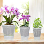 Cdd's Path 6-Pack Bare Root Planter Self Watering Pots Set - Image 7