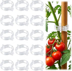 100pcs Tomato Clips for Climbing plants, Plastic Trellis Plant Support Clips by LOOHOI