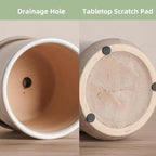 5.8 Inch Plant Pot: Ceramic Planter - Image 4