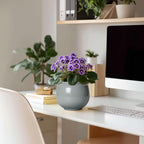 6 Inch Ceramic African Violet Pot, Easy Self Watering Pots - Image 3