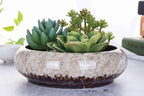 VanEnjoy 7.3 inch Round Large Shallow Succulent Ceramic Glazed Planter Pots - Image 3